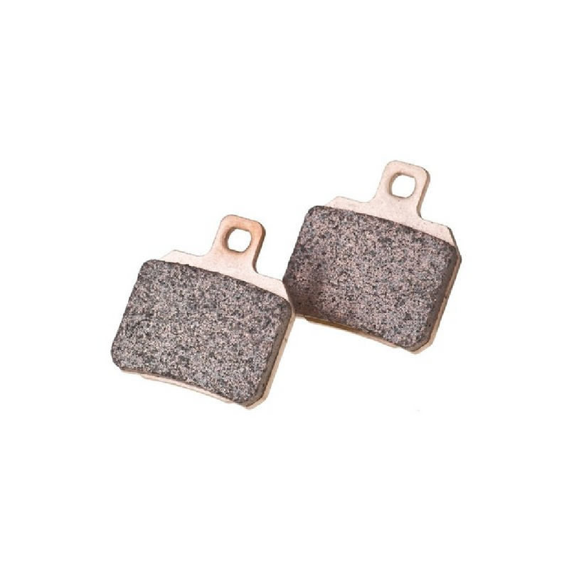 PIAGGIO Aprilia RSV 2 1000 (1998-1999), Tuono 1000 (2001-2005) Rear Brake Pads (FA266)